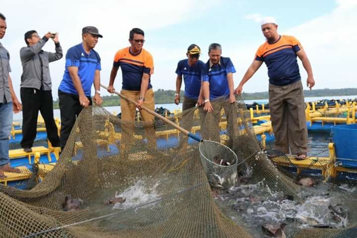 3.200 Nelayan Kabupaten Bintan Terproteksi Asuransi Nelayan