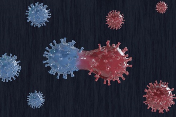 Mutasi virus Covid -19 Varian B.1.1.7 Ditemukan di Indonesia