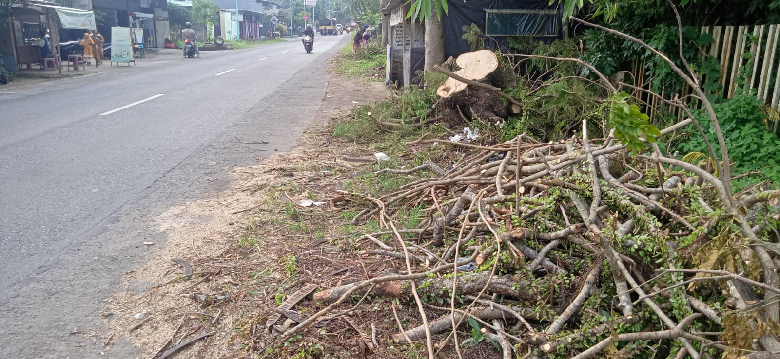 Ranting Pohon Berserak di Bahu Jalan Pengendara Jatuh, Ini Jabawan UPT Bina Marga Prov Jatim Tak Karuan