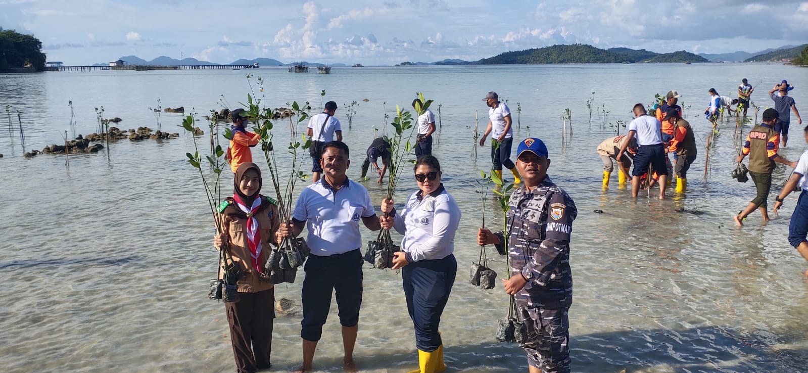 Lestarikan Mangrove Upaya Pertahankan Wilayah Maritim