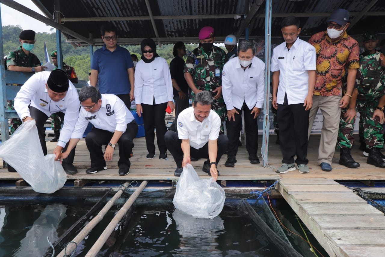 Menteri Kelautan  Trenggono Tingkatkan Budidaya Ikan Kerapu  Unggulan Ekspor Perikanan Anambas