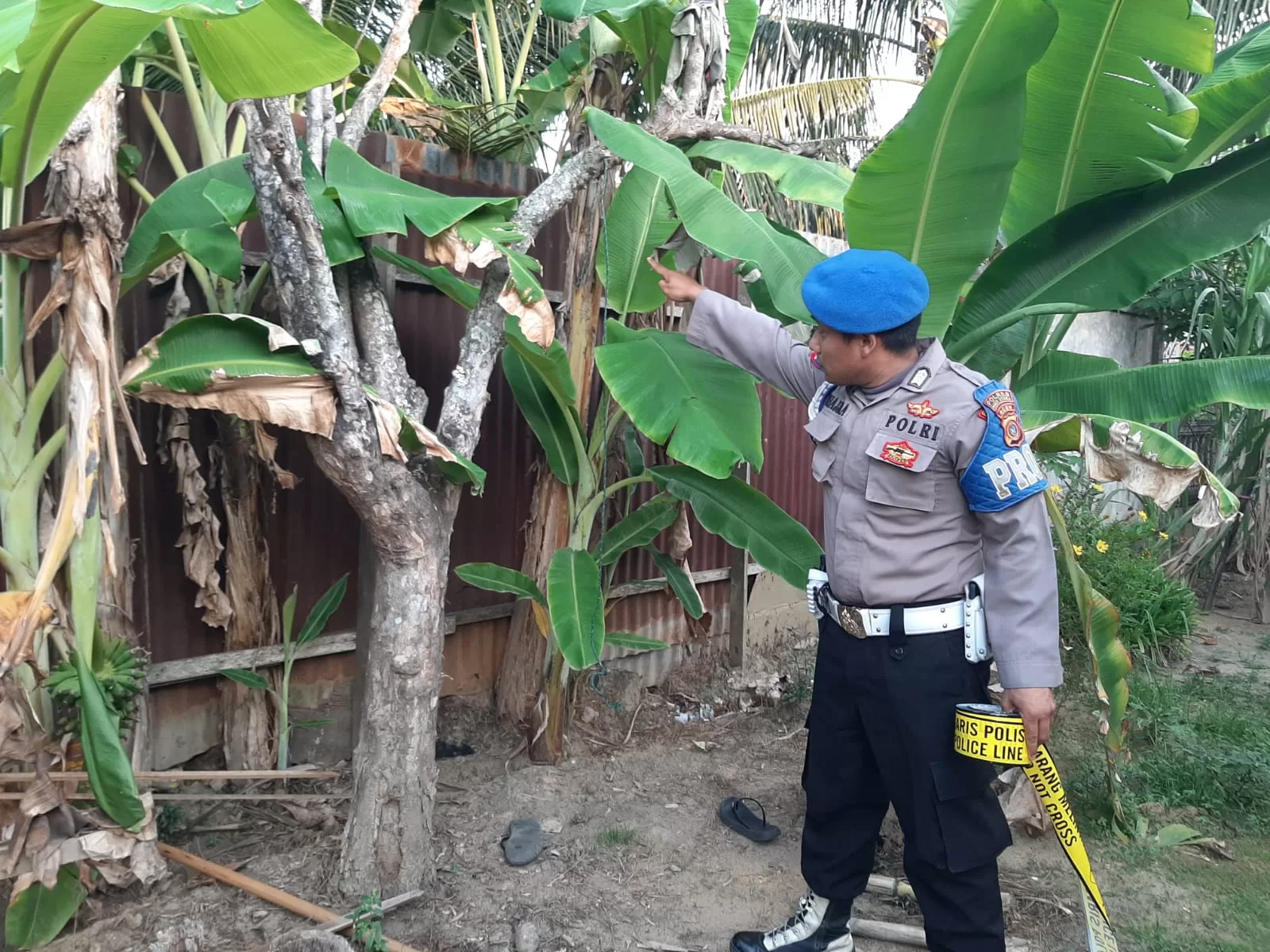 Pemuda di Aceh Utara Tewas, Ditemukan Ibu Kandungnya Tergantung di Pohon Belimbing