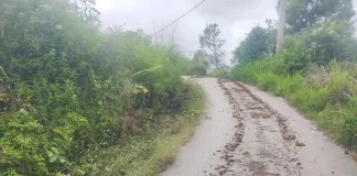 Tampak jalan aspal hotmix rusak karena dilintasi alat berat milik Pemkab Humbahas di Dusun Sibuntuon, Desa Parsingguran II, Kecamatan Pollung, Minggu (15/10/2023)