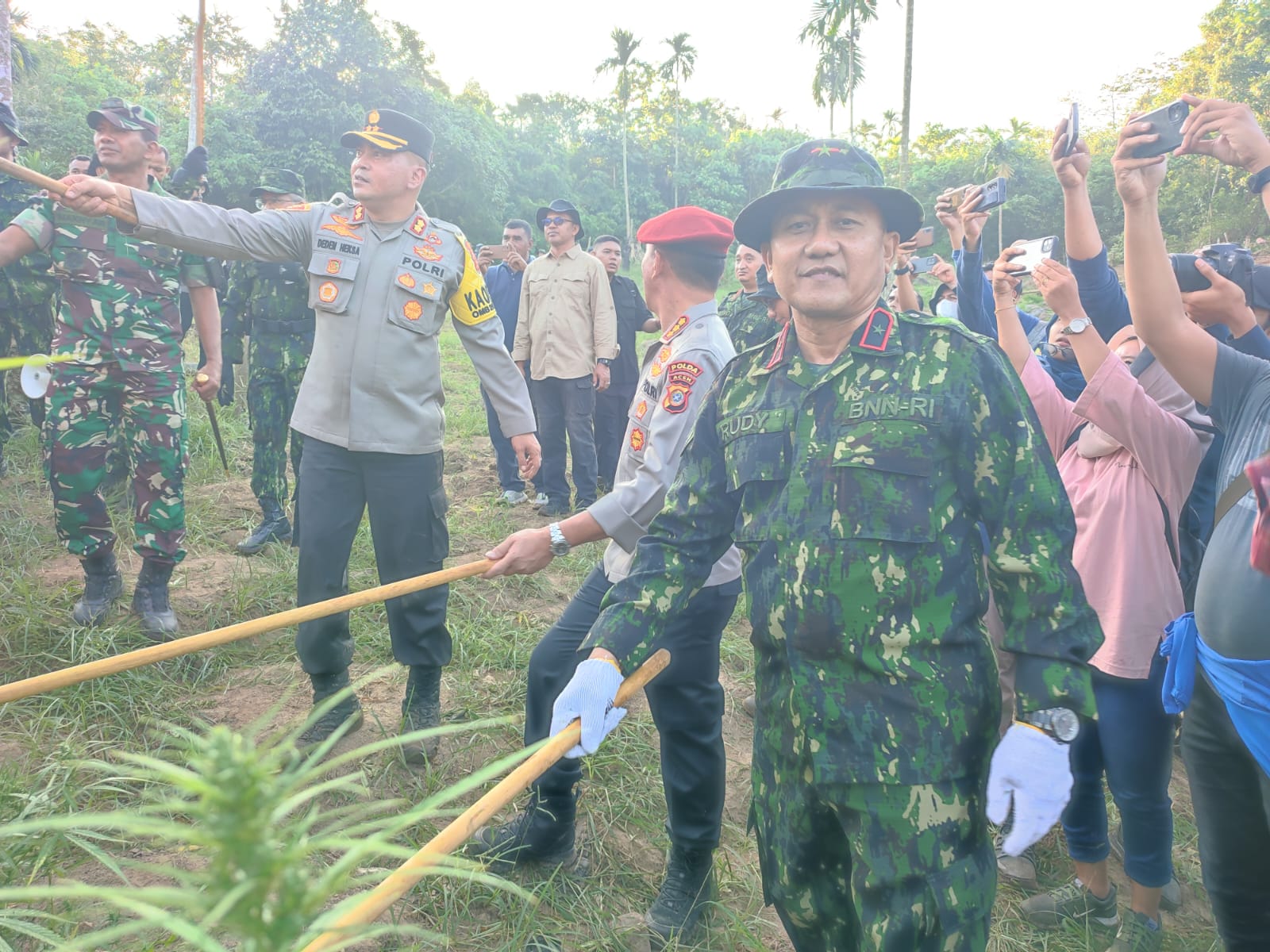 22.864 Batang Tanaman Ganja di Perbukitan Sawang Aceh Utara dimusnahkan