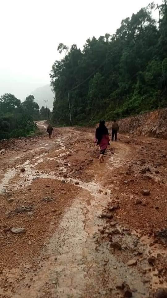 Pemerintah Provinsi Kepri Dimana? Banyak Makan Korban Akibat Jalan Rusak di Dusun Serteh Lingga