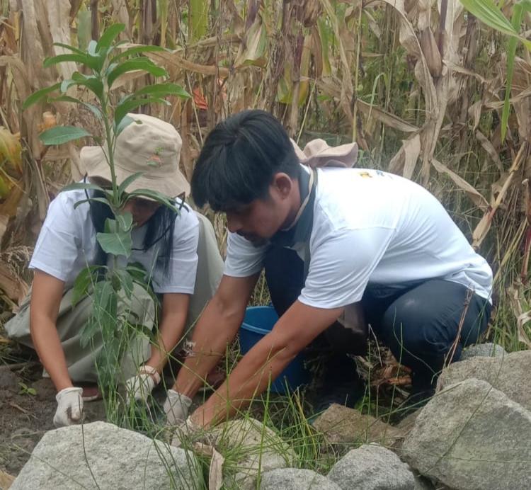 Hari Menanam Pohon Indonesia, Hariara Instute Gelar Penanaman Pohon di Lokasi Longsor Simangulampe