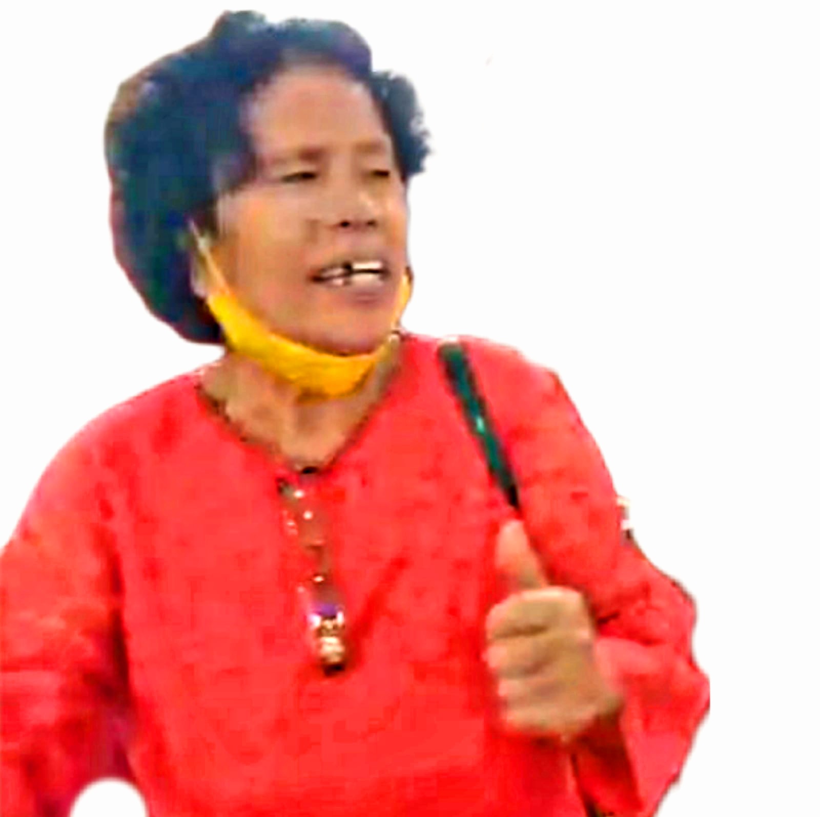 Ropina Nababan (69), Warga Perumnas Helvetia Medan Dilaporkan Hilang Sejak 8 April 2025