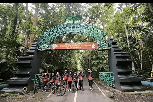 Taman Nasional Alas Purwo Meningkat drastis Pengunjung Di Libur Panjang