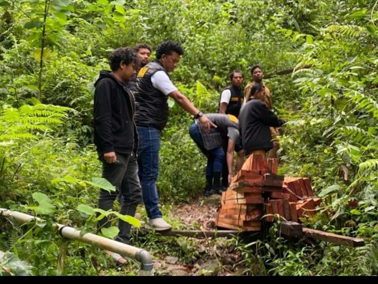 Polres Humbahas Tangkap Tersangka Pencuri dan Perusak Hutan Lindung di Pakkat