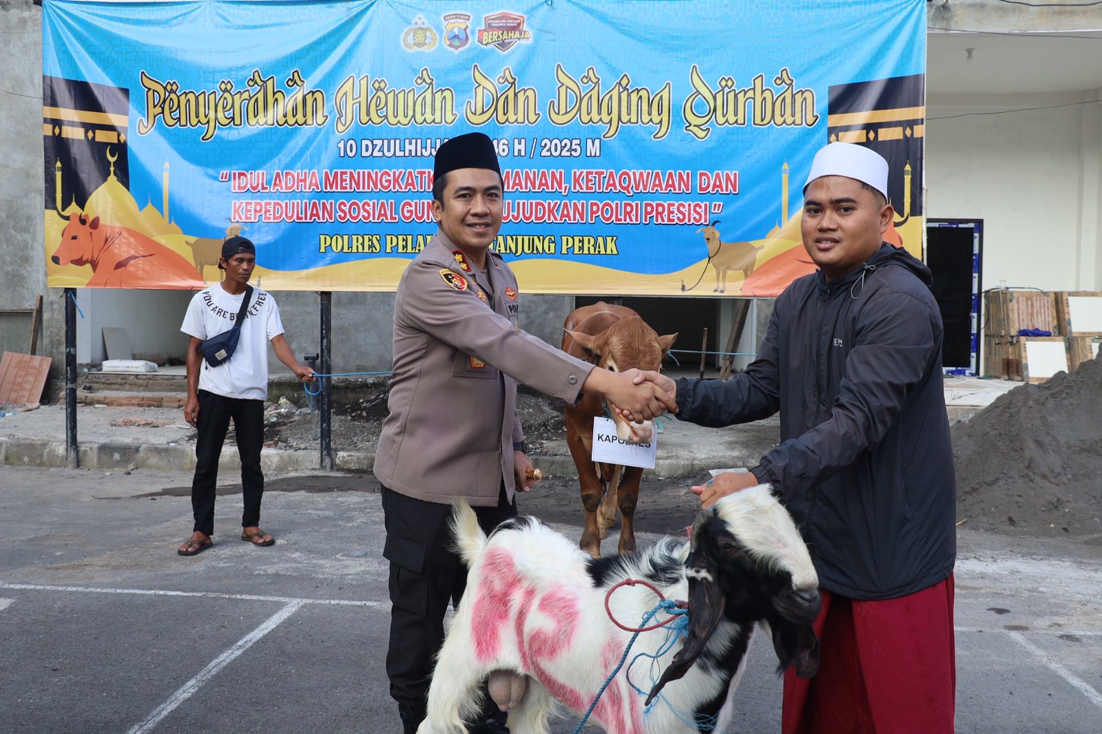 Kapolres Pelabuhan Tanjung Perak Salurkan 51 Hewan Kurban Pada Iduladha 1446 H, Wujud Kepedulian dan Komitmen Polri Presisi