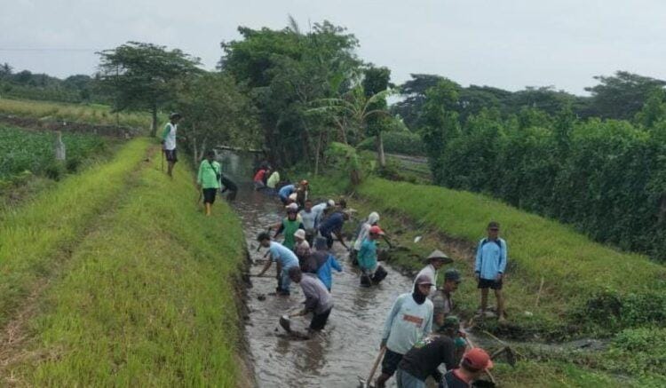 PU Pengairan Banyuwangi Tahun 2025 Laksanakan Program Padat Karya di 12 Lokasi