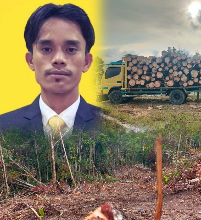 Waspada Bencana, Anggota Legislator Humbahas Serukan Stop Merambah Hutan