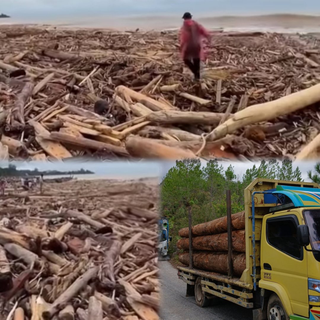 Pasca Bencana Sumatera, Narasi Stop Pembalakan Hutan dan Tutup TPL Bergema di Sosial Media