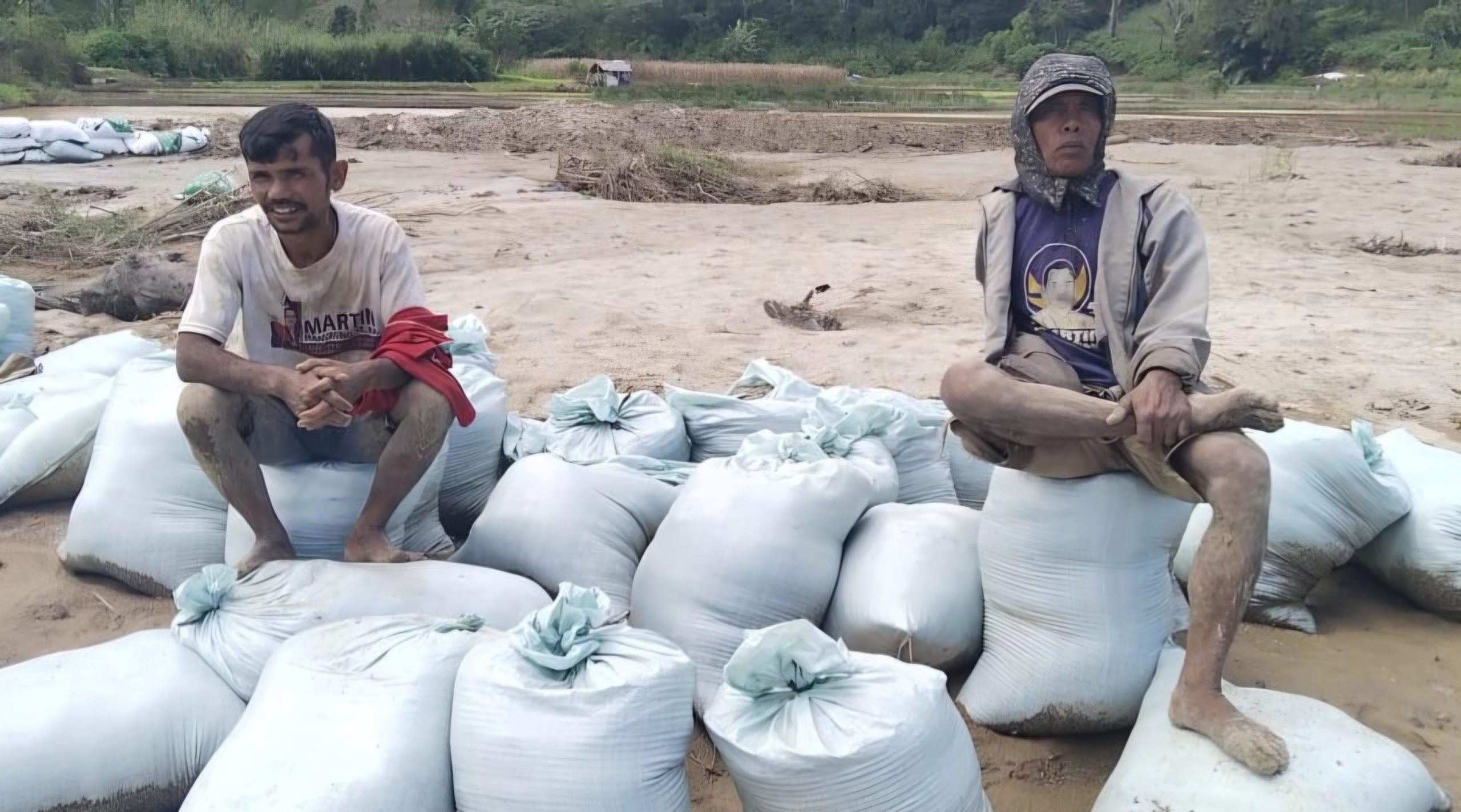 Sekitar 20 Hektare Sawah di Sipoholon Tertimbun Pasir Akibat Banjir, Petani Minta Pemulihan Lahan