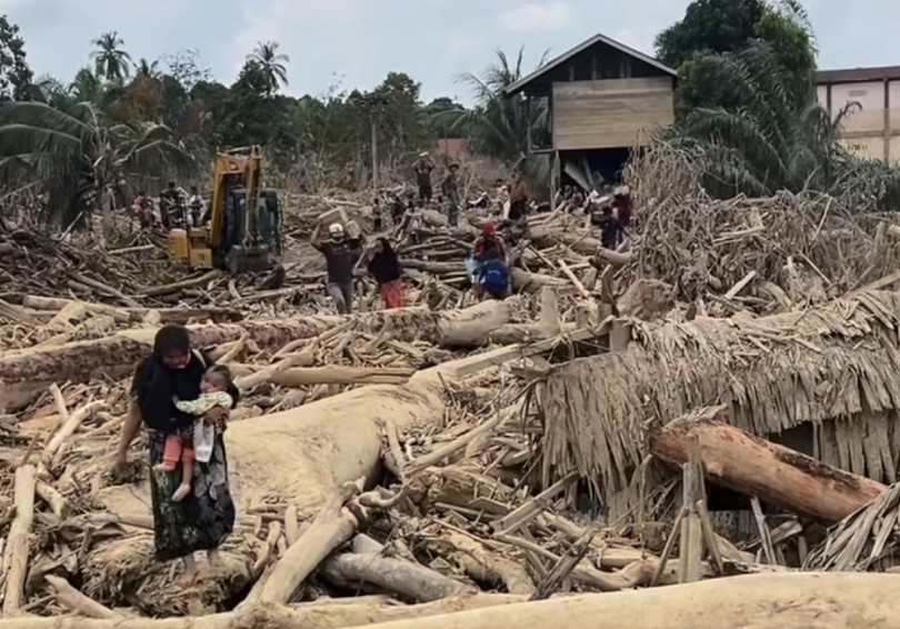 Izin Dicabut, Potensi Pidana Mengintai: 28 Perusahaan Kehutanan dan Non-Kehutanan Kehilangan Legalitas Operasi