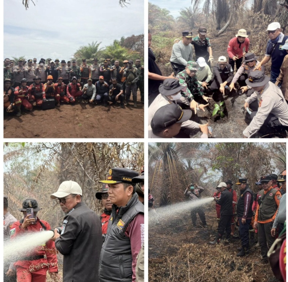 Karhutla 600 Hektare di Pelalawan, Bupati Zukri Tegaskan Penanganan Serius