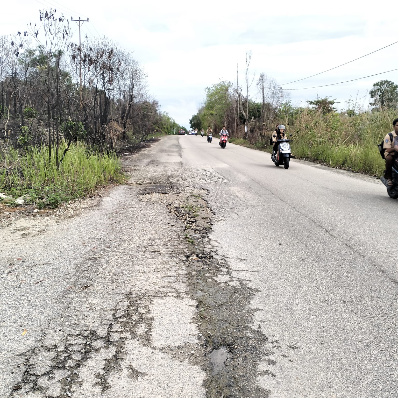 Padat Lalu Lintas Pelajar, Jalan Rusak Menuju SMKN 1 Tebing Karimun Mendesak Diperbaiki: Pemkab Karimun Jangan Tunggu Korban Lebih Banyak